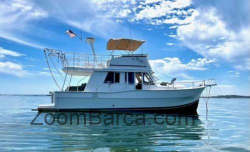 Mainship 390 scheda tecnica e recensioni